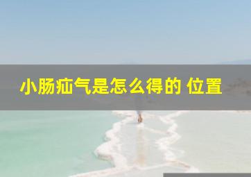 小肠疝气是怎么得的 位置